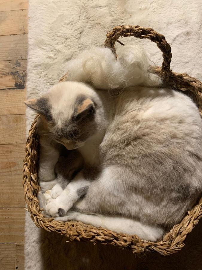 Abury Otel Barcus Dış mekan fotoğraf