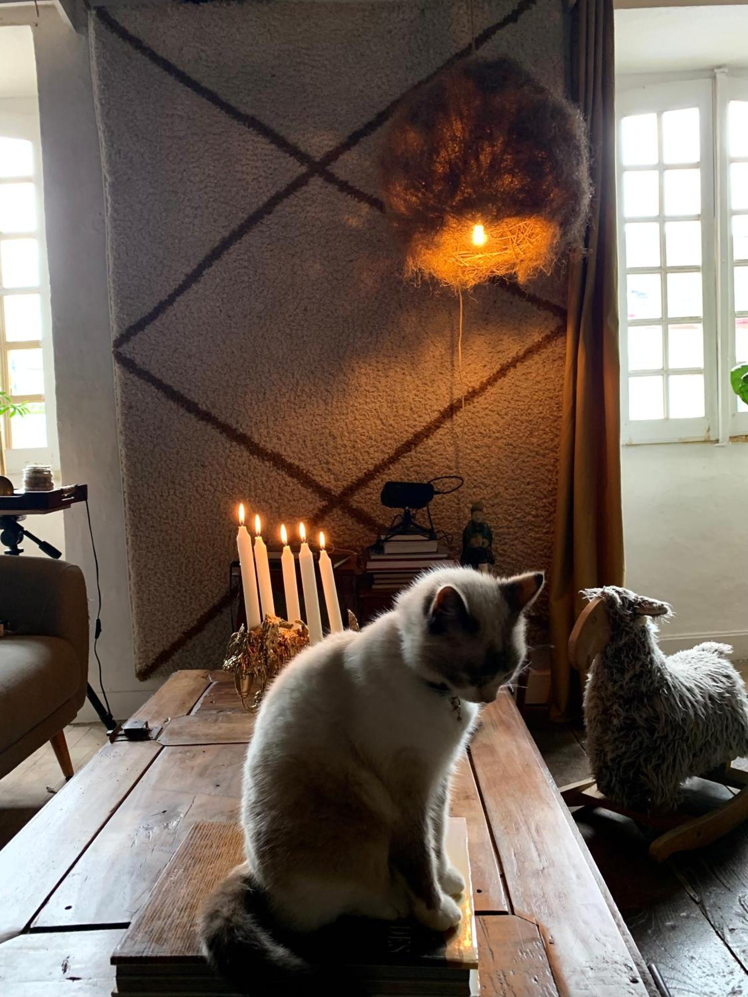 Abury Otel Barcus Dış mekan fotoğraf